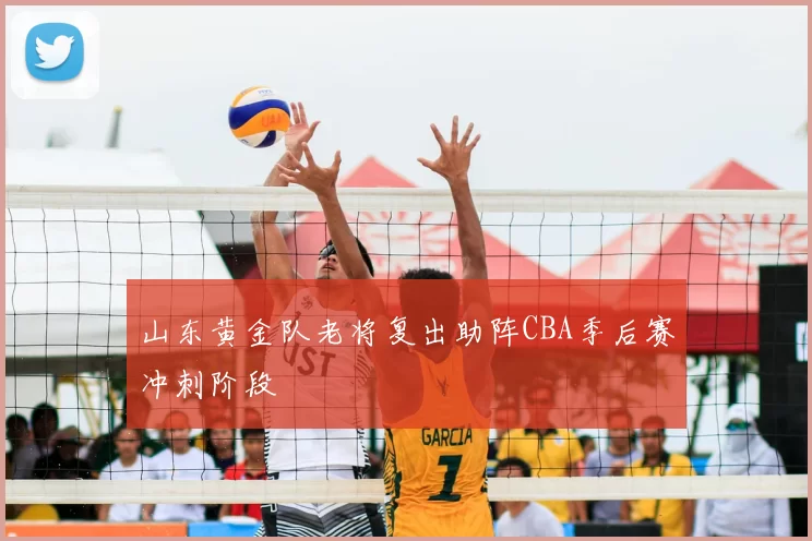 山东黄金队老将复出助阵CBA季后赛冲刺阶段