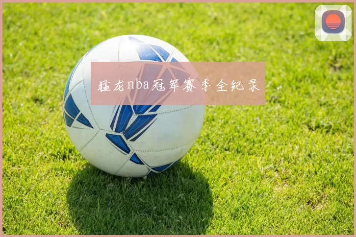 猛龙nba冠军赛季全纪录