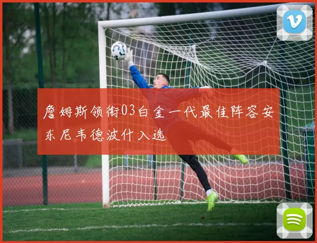 詹姆斯领衔03白金一代最佳阵容安东尼韦德波什入选