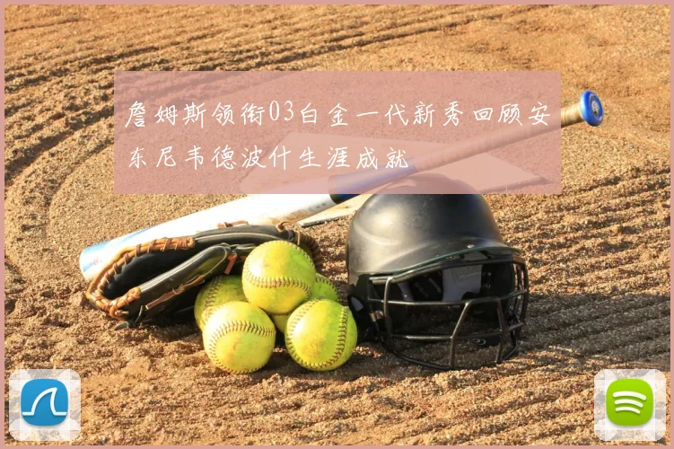 詹姆斯领衔03白金一代新秀回顾安东尼韦德波什生涯成就