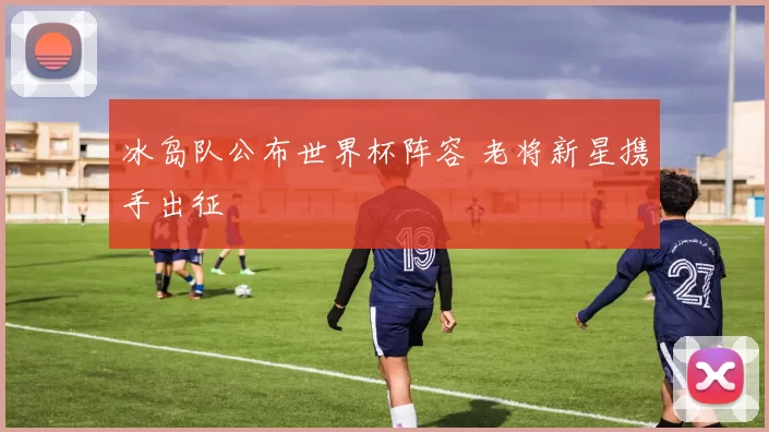 冰岛队公布世界杯阵容 老将新星携手出征