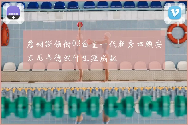 詹姆斯领衔03白金一代新秀回顾安东尼韦德波什生涯成就