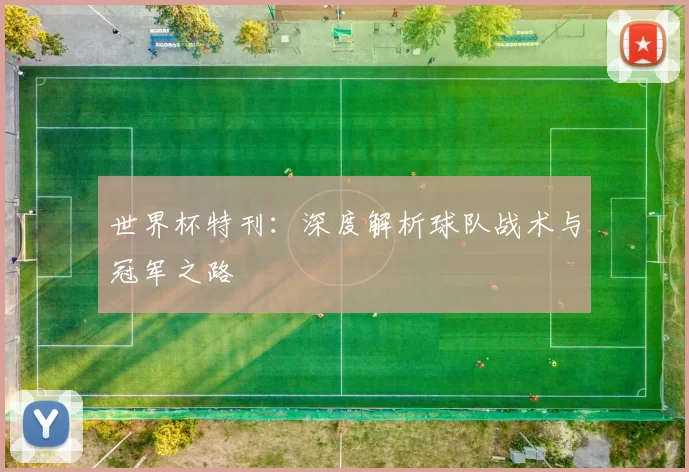 世界杯特刊：深度解析球队战术与冠军之路