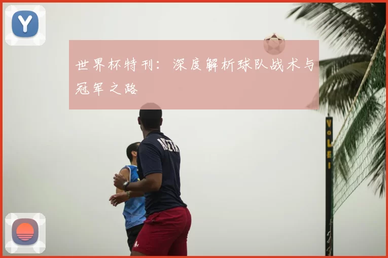 世界杯特刊：深度解析球队战术与冠军之路