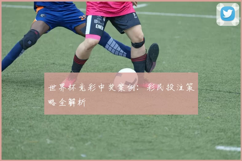 世界杯竞彩中奖案例：彩民投注策略全解析