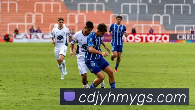 华体官网登录平台生态图