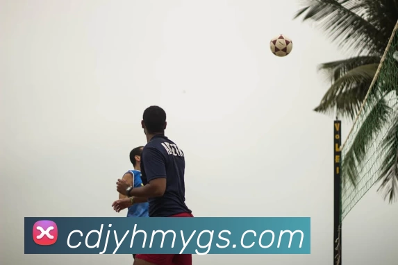 NBA球员身高榜单更新文班亚马居首塔图夫并列第五