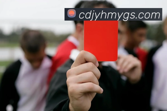 华体官网登录APP 封面图